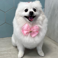 Lua