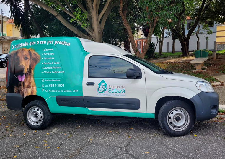 taxi-pet-bichos-da-sabara3