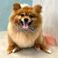 Lola